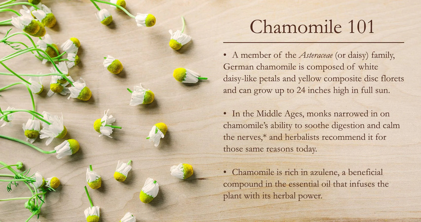 Basic Herbalism 101 Ebook