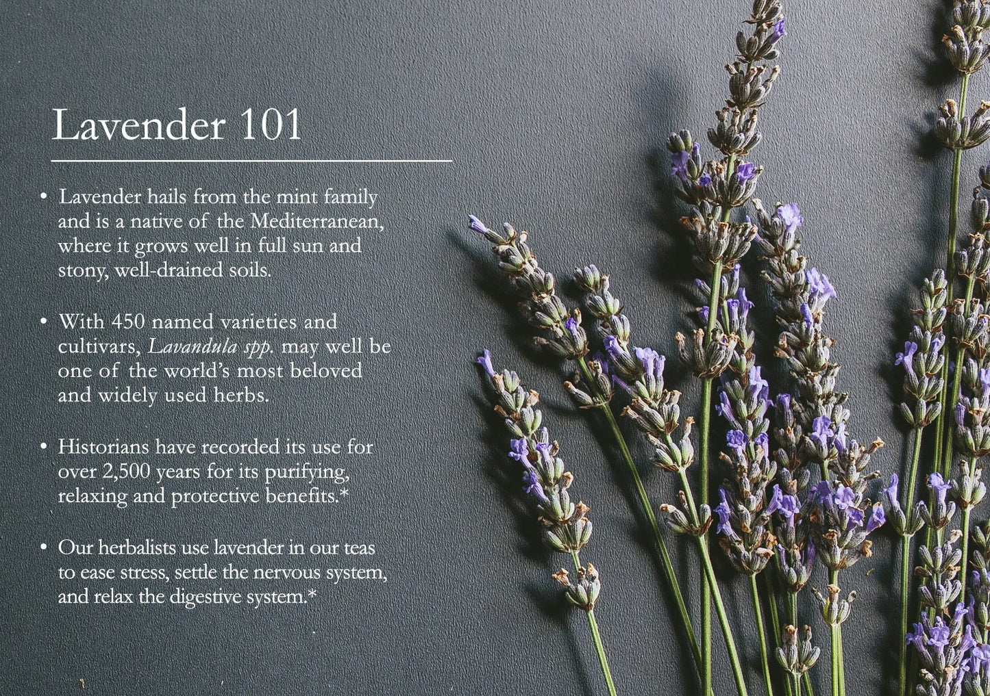 Basic Herbalism 101 Ebook