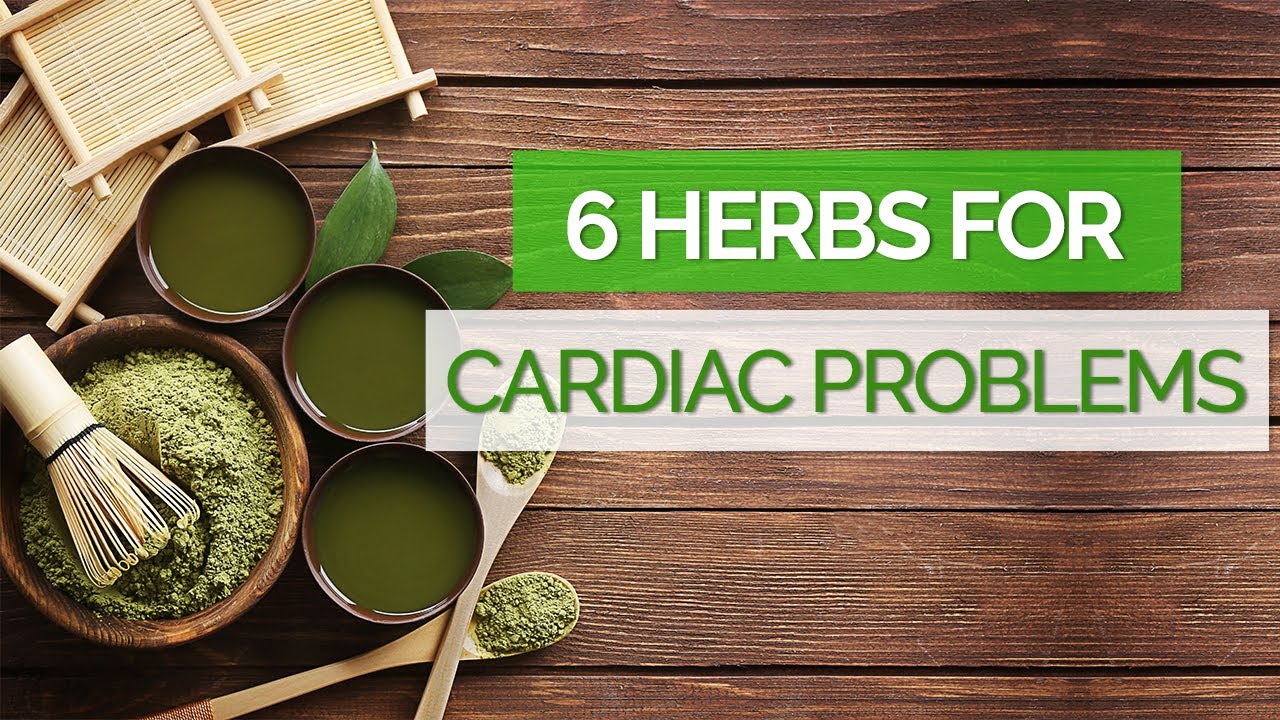 Basic Herbalism 101 Ebook