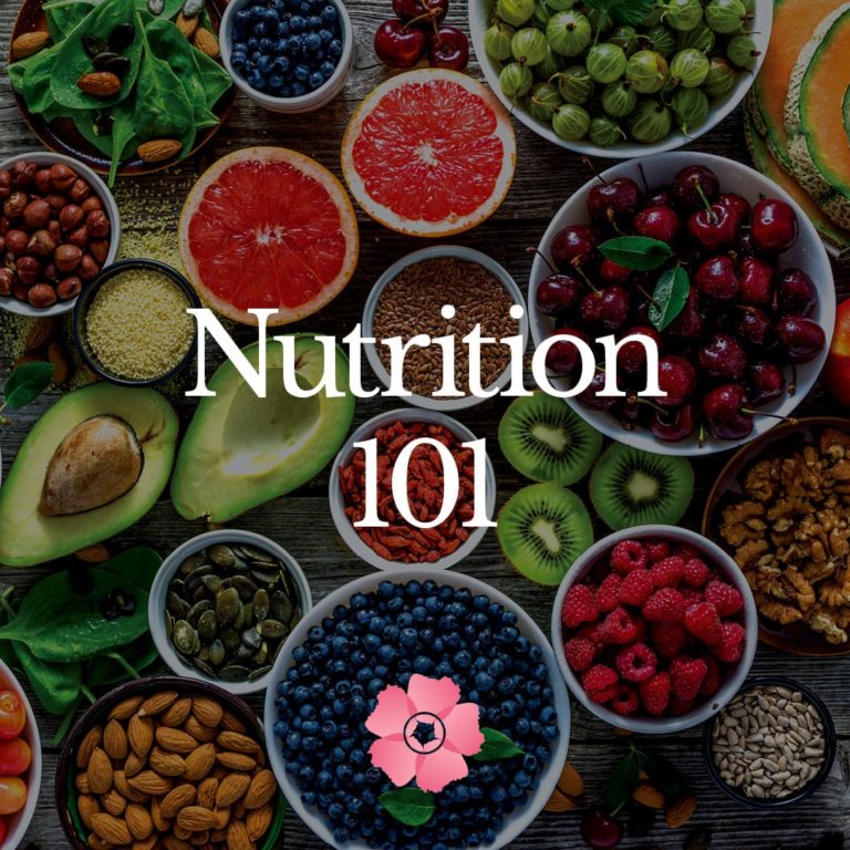 Meal Plan