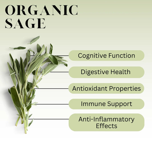 Basic Herbalism 101 Ebook